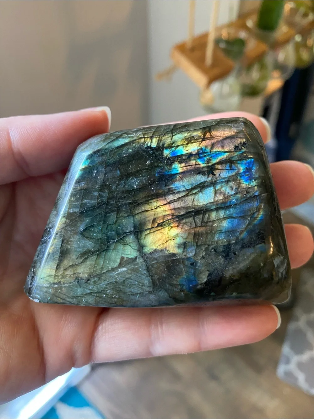 ✨ Golden Sunset Labradorite Freeform ✨